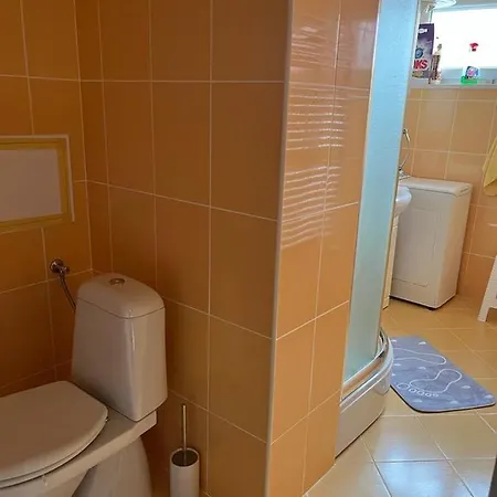 Apartment Sunny